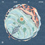 The Color of Nothing cover