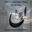 Miha Sav Alex et Hidden Tigress - Set Me Free (Extended Mix)