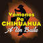 Vamonos Pa´ Chihuahua A Un Baile cover