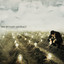 Ian Taylor, Creation Moments, Inc. - Creation Moments