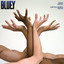 Bluey - Skint