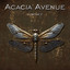 Acacia Avenue - The Longest Time