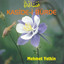 Kaside-i Bürde cover