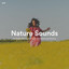 #01 Nature Sounds for Simple Moments, Creative Inspiration and Painting cover
