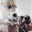 A Bullet For Every Heathen cover