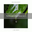 1 Ruidos de la Naturaleza vol. 1 cover