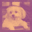 Backdrop for Doggy Wellness - Excellent Bossanova cover