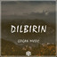 Dilbirin Ft.Xece cover