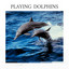 Playing Dolphins cover
