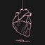 Play With My Heart cover