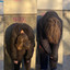 . - Alan 15 Fatigue - Marks Pharmacy