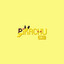 Pikachu cover