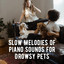 Slow Melodies of Piano Sounds for Drowsy Pets cover