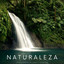 Naturaleza: Paisaje Sonoro De Viento y Cataratas cover