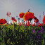 Only Time cover