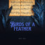 Birds of a Feather (Violin) cover