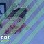 # 1 Album: Cot Dreams cover