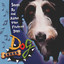 Boxer cover
