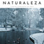 Naturaleza: Fuertes Corrientes De Agua cover