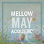 Mellow May Acoustic cover