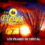 Mi Primer Amor cover
