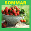 Sommar cover