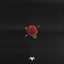 Rosa (Que Linda Eres) cover