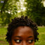 Lincoln Terrace Park Deluxe cover