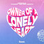 Owner Of A Lonely Heart cover