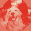 Feelings for Keeping Your Dog Happy cover