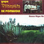 Mujer Pomasqueña - Rebajada cover
