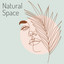 Natural Space cover