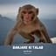 Banjare Ki Talab cover