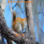 Heavenly Parfait cover