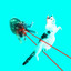 Lasercat