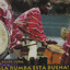 Recordando a Malanga - Guillermo Alvarez Guedes