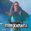 Bir Devrimdi cover