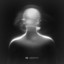 Rotten in Silver - Ankou Remix