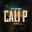 cali p little lion sound - zion road (evidence music)