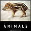 Unknown Title cover