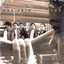 Vas cover