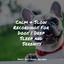 Calm & Slow Recordings For Dogs | Deep Sleep and Serenity cover