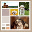 Music for Meme Worthy Dog cover