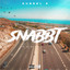 SNABBT cover