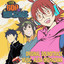 Raid cover