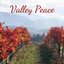 Valley Peace cover