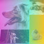 Deluxe Guitar Chill Out - Ambiance for Keeping Dog Calm cover