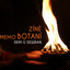 Rê Û Rê Diçûm cover