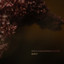 Beirut - The rip tide - BER-ABQ version