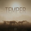 Temper artwork